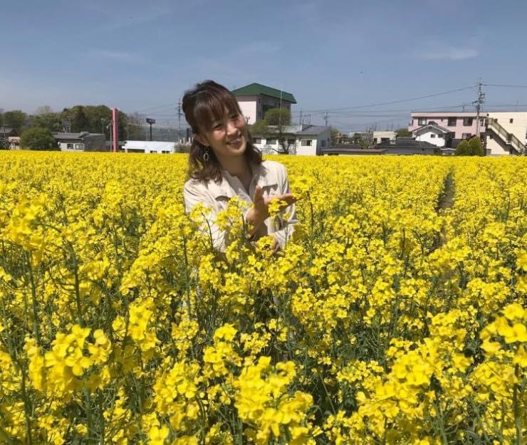 菜の花畑(*ﾟ∀ﾟ*)