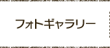 フォトギャラリー